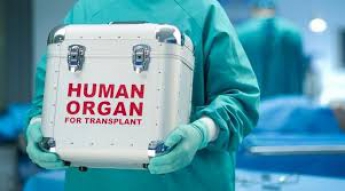С чужим органом в теле: как живут запорожцы после трансплантации
