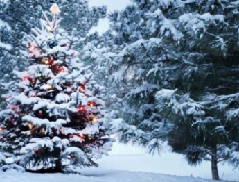 Синоптики рассказали украинцам, какой будет погода на Новый год и когда начнутся сильные снегопады