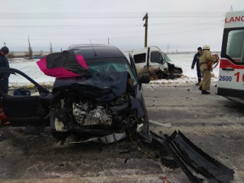 Пассажирку пришлось вырезать из авто после лобового ДТП на Кирилловской трассе (фото)