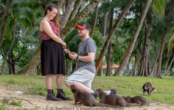 Появилось фото с "самым неожиданным" предложением женитьбы