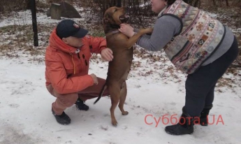 Бросили, чтобы умерла: в Запорожье на острове нашли привязанную к дереву собаку (ФОТО)