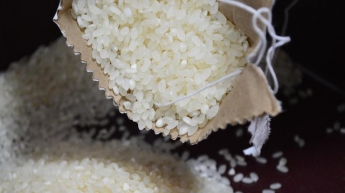 Рис опасен для здоровья человека - ученые