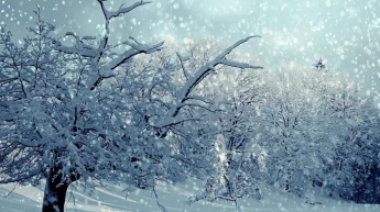 Погода на 7 декабря: в Украине ударят морозы до -15°
