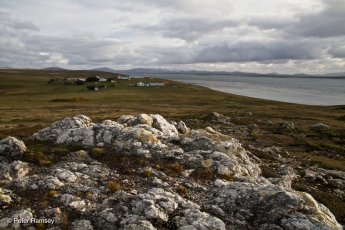 В Атлантическом океане продают остров с пингвинами и морскими львами