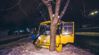 В Киеве маршрутка с пассажирами сбила пешехода и "влетела" в дерево (видео)