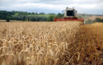 В Кабмине назвали объем рекордного урожая зерновых