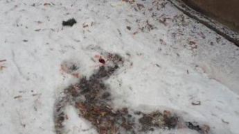 В Харькове полуголая женщина спрыгнула с крыши и долго умирала в муках
