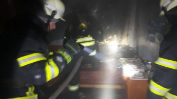 Во время пожара в запорожской квартире погибли животные