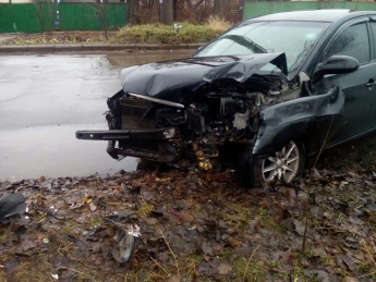 В Запорожье водитель иномарки врезался в дерево (Фото)