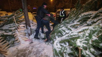 В Киеве злодеи с ножом и перцовым баллончиком пытались украсть елку. Видео