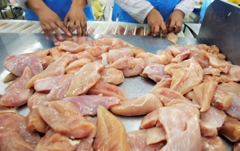 Украина возобновила экспорт курятины в Китай