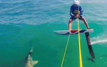 Серфер на скорости врезался в акулу (видео)