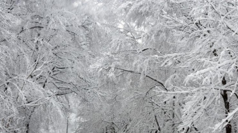 Погода на 4 января: в Украину идет снежный "апокалипсис"