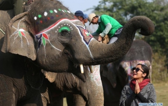 В Непале провели конкурс красоты для слонов