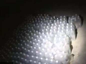 В Мелитополе под землей нашли "приватное" бомбоубежище (видео)