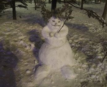На запорожском курорте появились оригинальные скульптуры из снега (ФОТО)