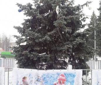 В Запорожье украли игрушки с районной елки - ФОТО