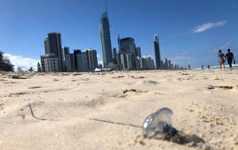 В Австралии нашествие медуз: власти закрыли популярные пляжи