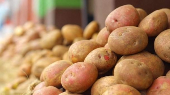 Цены на картофель в Украине взлетели до рекорда