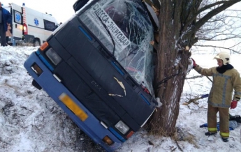 В Херсонской области автобус врезался в дерево, есть пострадавшие