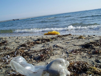 За выброс мусора на берегу моря в Кирилловке жестко штрафуют