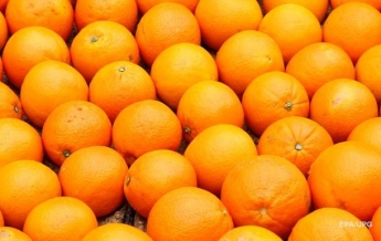 В Украину не пропустили зараженные мандарины и апельсины