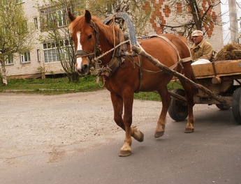 В Мелитополь газ завозили на лошадях