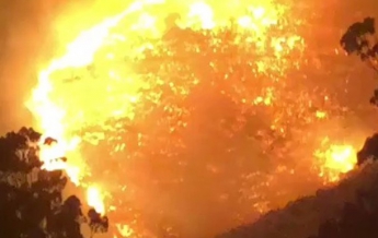 В ЮАР вспыхнули лесные пожары (видео)