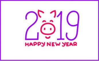 Гороскоп по году рождения на 2019 год Земляной Свиньи