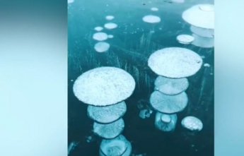 Канадцев напугали вмерзнувшие в лед "медузы"