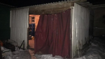 «Нашли полуживую в нижнем белье»: на Киевщине подросток пытался убить младшую сестру