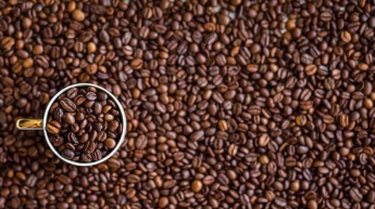 Как влияет кофеин на организм человека