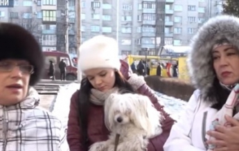 В Черновцах женщина отравила более 30 собак (видео)