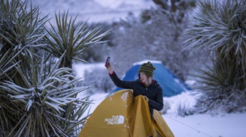 Снег на пальмах: жители Лас-Вегаса в шоке (видео)