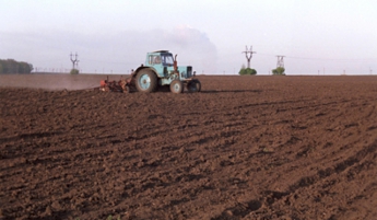 Запорожские фермеры незаконно использовали 50 гектаров земли после смерти владельца