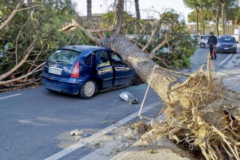 В результате урагана в Италии погибли шесть человек