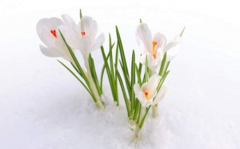 Синоптики сообщили, когда в Украину придет настоящая весна