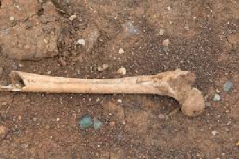 В старом центре Мелитополя найдены человеческие кости