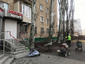 За спиленное дерево в Мелитополе бизнесмен заплатит свыше 8 тысяч гривен (фото)