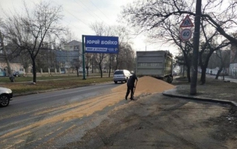 В Николаеве на дорогу высыпалось 10 тонн кукурузы (фото)