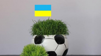 Евро-2020: огласили состав сборной Украины