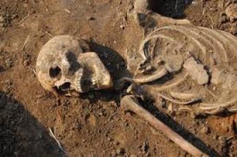 Под Мелитополем обнаружили скелет мужчины