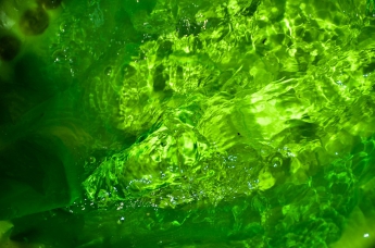 На запорожском курорте вода окрасилась в зеленый цвет