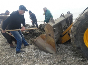 В Бердянске уже чистят море от водорослей (ФОТО)