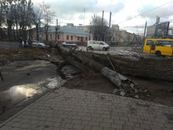 По Львову прошелся ураган: срывало крышу, падали деревья (фото)