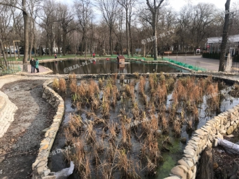 Зачем в мелитопольском городском парке пруд осушают (фото)