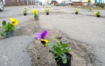 На Закарпатье к приезду Порошенко в дорожных ямах "посадили" цветы (фото)