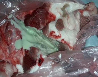 Жительница Запорожья обнаружила в купленной свинине зеленую жидкость (Фото)