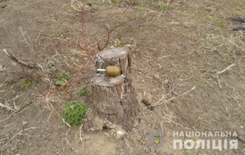 В Одесской области при взрыве гранаты погиб мужчина