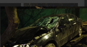 В Запорожской области автомобиль сбил насмерть пешехода